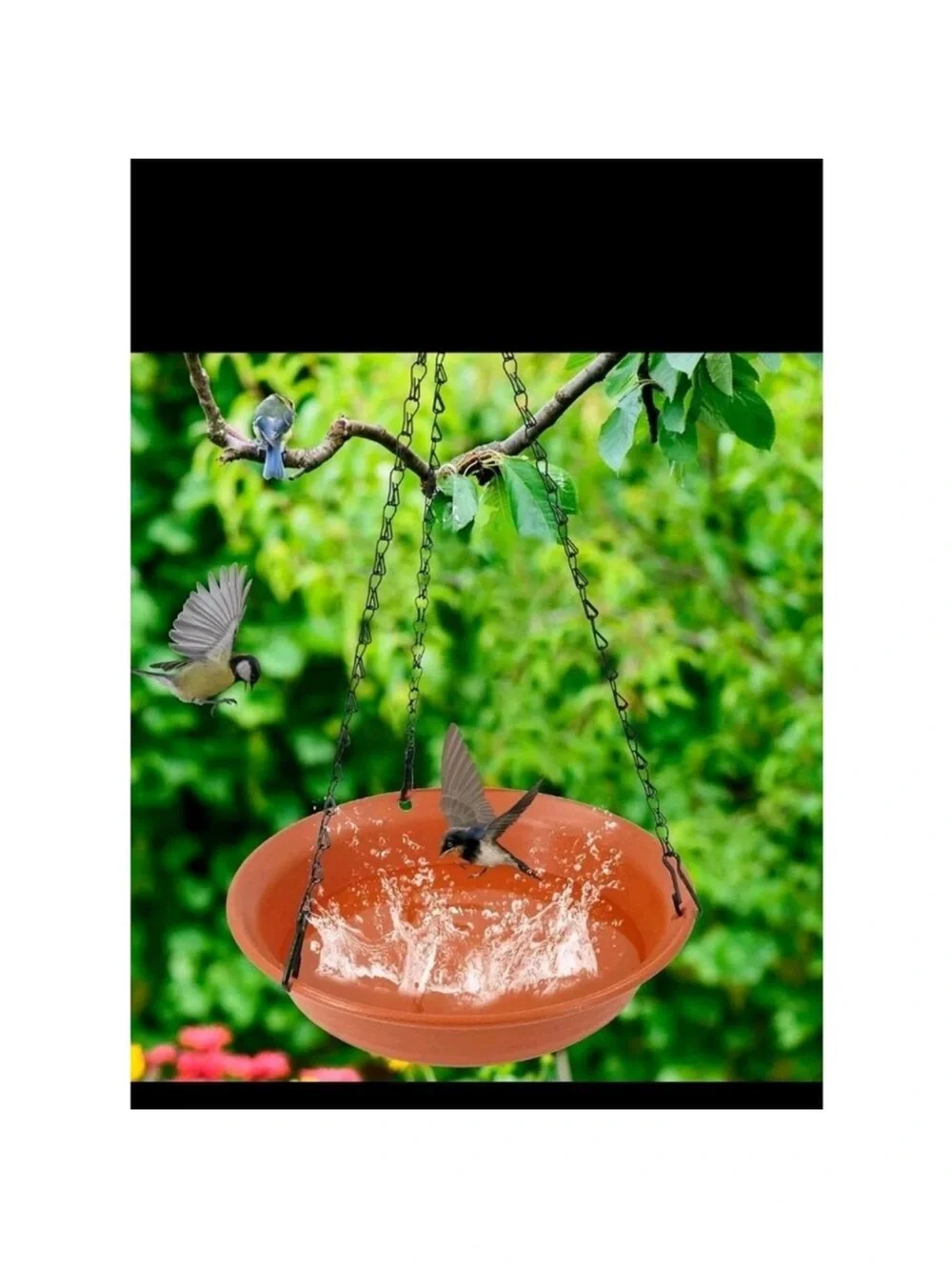 Hanging Terracotta look bird bath or FEEDER plastic bowl with black chains